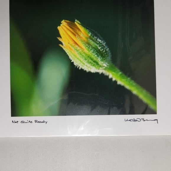 Korbin Berg Mount Horeb, WI Fine Art Photographer/Nature Print 8.5x11" - Picture 3 of 6